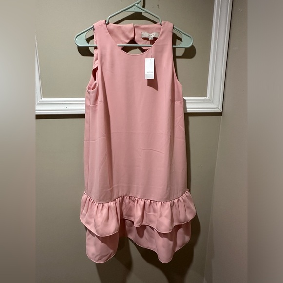 Pink Loft NWT Dress‎ - Picture 1 of 5